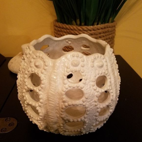 Shell coastal decor - Picture 3 of 3